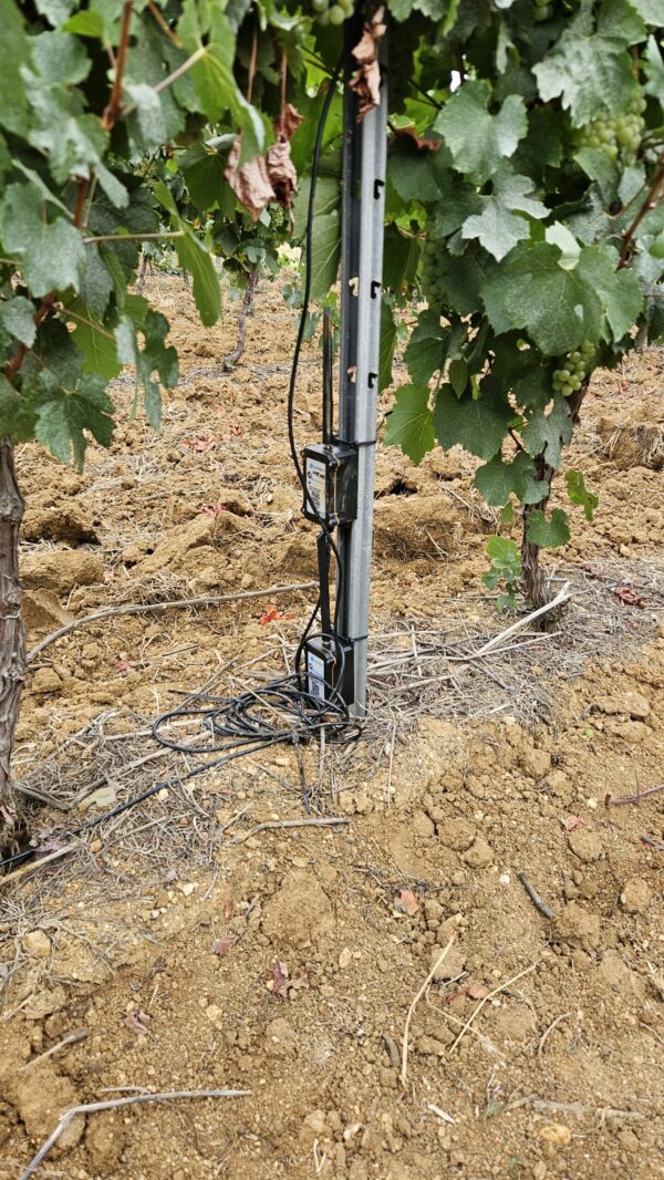 Sonde d'humidité du sol capacitif 1 horizon – Image 4