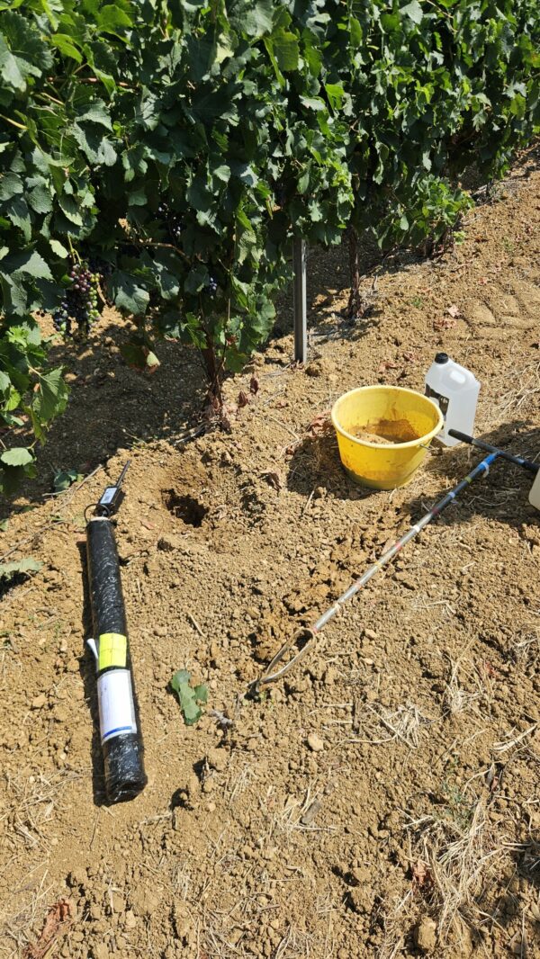 Sonde d'humidité du sol capacitif 1 horizon – Image 5
